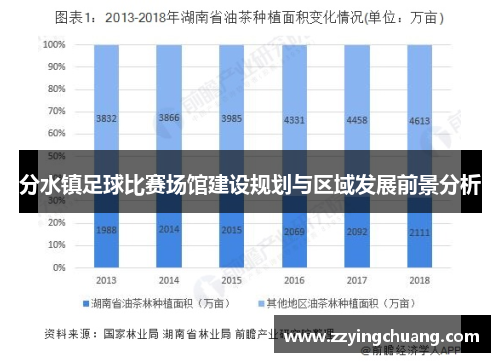 分水镇足球比赛场馆建设规划与区域发展前景分析